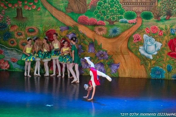 בלט הגפן פרמיירה 2016