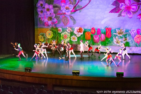 בלט הגפן פרמיירה 2016
